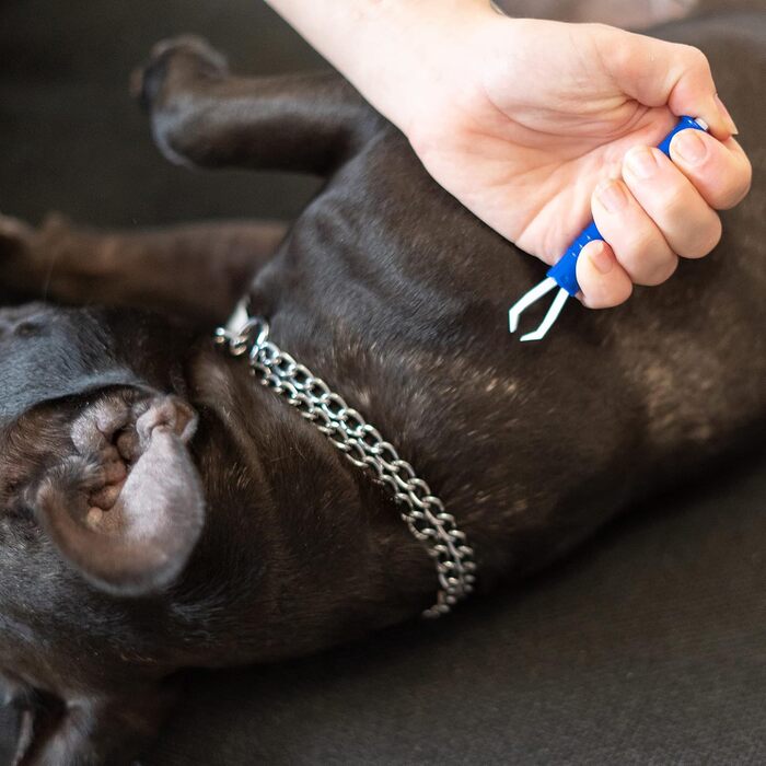 Набір для грумінгу тварин: щітка для собак та котів, XL роликовий збирач ворсу, щипці для видалення кліщів. Підходить для довгої та підшерсткової шерсті. Ефективно видаляє шерсть.