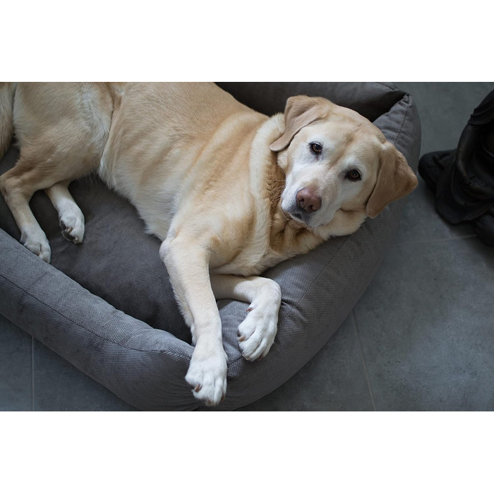 Лебон - ліжко для собак Гордон - Бежево-коричневе, м'яке, з товстою лежанкою, 3 розміри, можна прати (M)