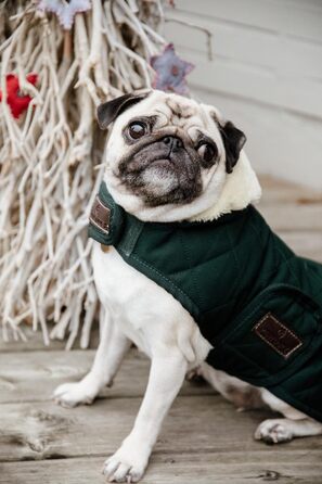 Зимовий теплий одяг для собак Kentucky Hundemantel, темно-зелений, XL, 60-70 см