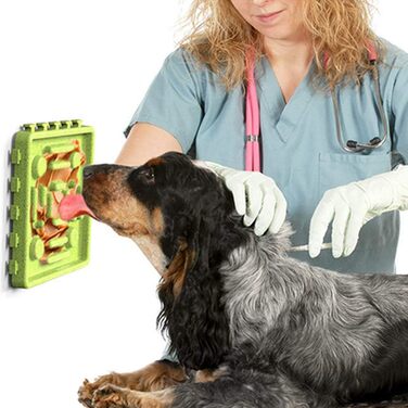 Набір мисок для собак 4 в 1 з уповільненням годування, інтерактивна миска для собак та котів, з присосками (4 шт.)