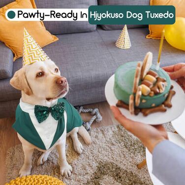 Костюм для собак з банданою, набір для святкування (весілля, день народження, Хелловін) - чорний з сріблястими смугами (M)