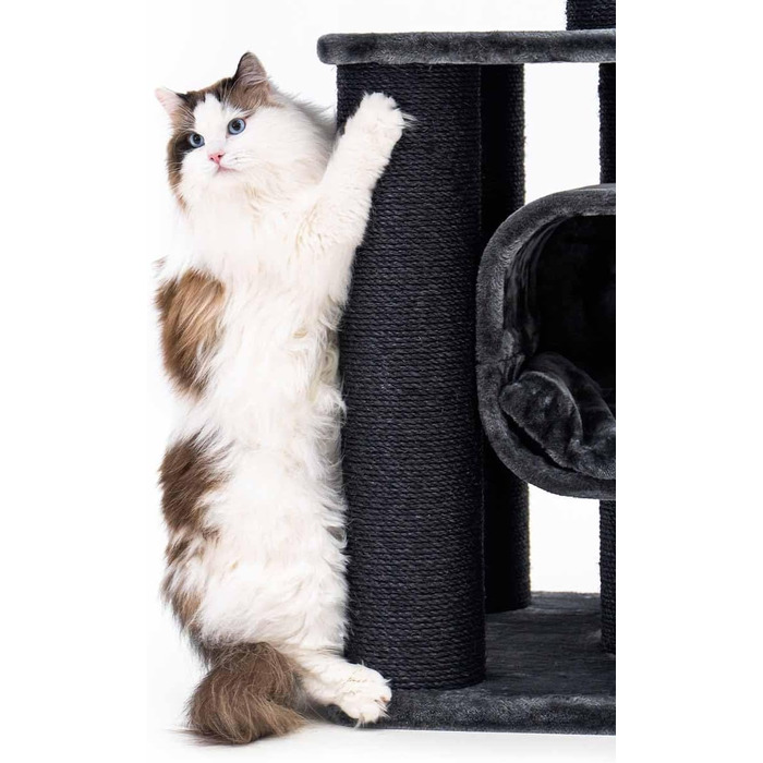 Драбина для котів Petrebels Skyline XXL, 186 см, чорна. Підходить для великих котів, таких як Мейн-кун