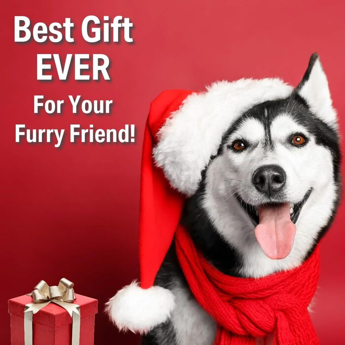 Водяна пляшка для собак PANJAL 600 мл, 4-в-1, витокозахисна, без BPA, з дозатором пакетів та відділенням для ласощів, з фільтром – для прогулянок, походів, подорожей, блакитна