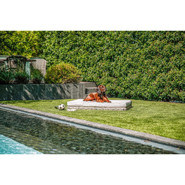 Greemotion лежанка для собак з поліротангу з подушкою, 95 x 15 x 65 см