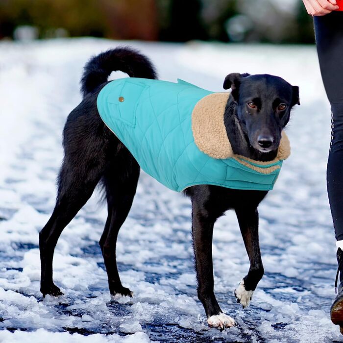 Зимова куртка для великих собак, вітронепроникна, для холодної погоди, одяг для домашніх тварин, снігозахисна куртка, для Golden Retriever, Labrador Retriever, Husky, розмір XL (Large, блакитна)