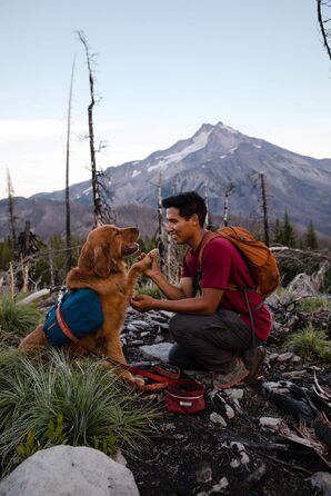 RUFFWEAR Quencher Bowl - миска для собак, середнього розміру, Fired Brick