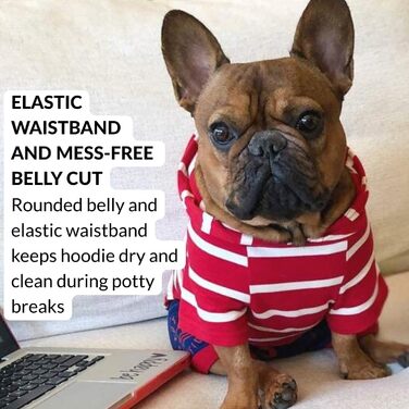 Світшот для собак ДЖАНГО, теплий, м'який, з капюшоном, для маленьких собак до 11,3 кг (Dackel, Welpen), розмір S, червоний