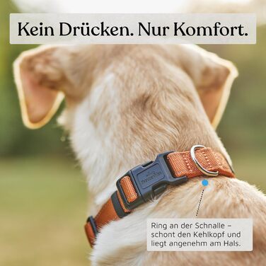 Нашийник для собак Freudentier: м'який, з неопрену, світловідбиваючий, міцний (Sunset Orange, 35-50 см)