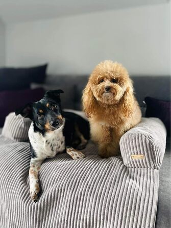 Килимок для собак Velinda: лежанка, захист дивану (сірий, Cord)